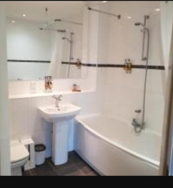 Parc Y Bryn Luxury Penthouse Apartment Aberystwyth Esterno foto